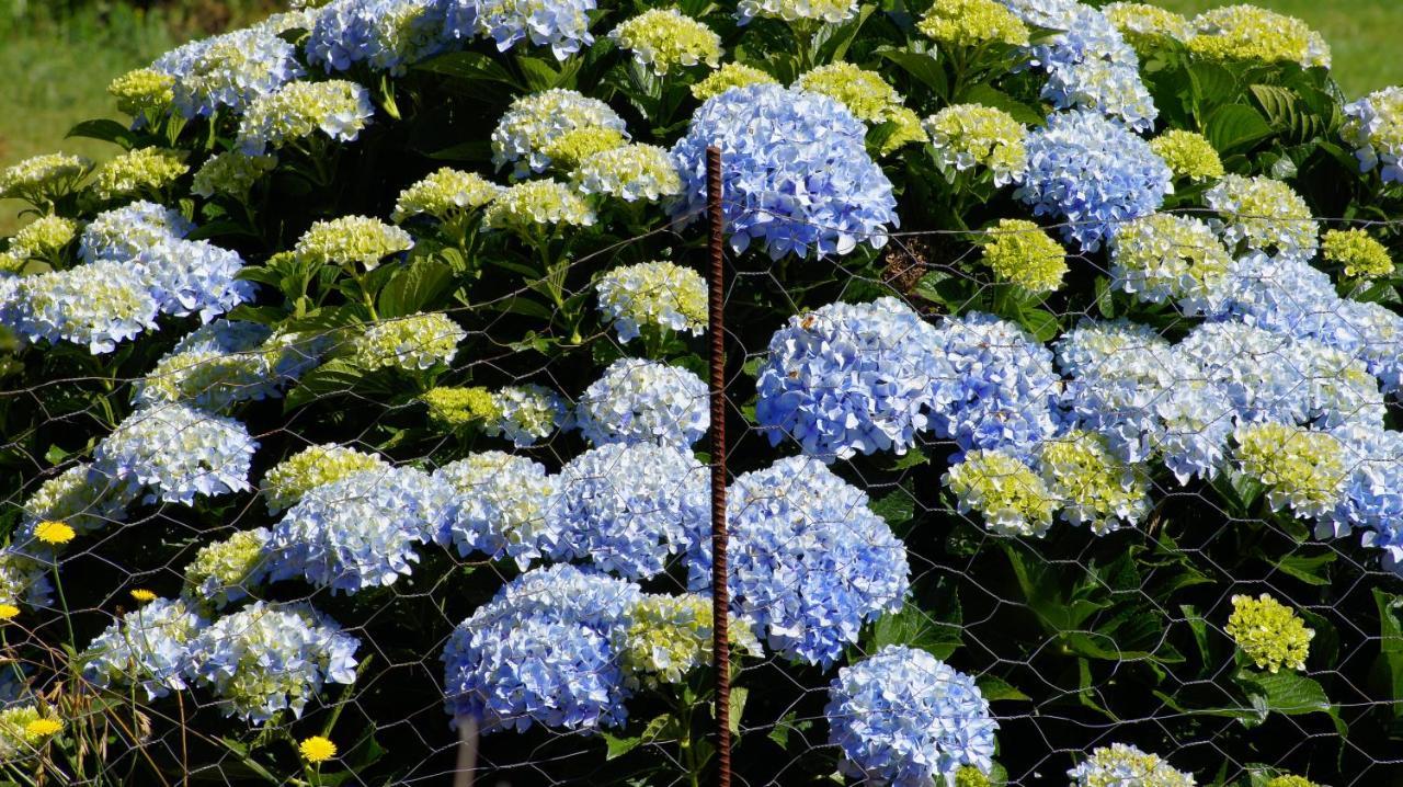 Beechmont La Dolce Vita المظهر الخارجي الصورة
